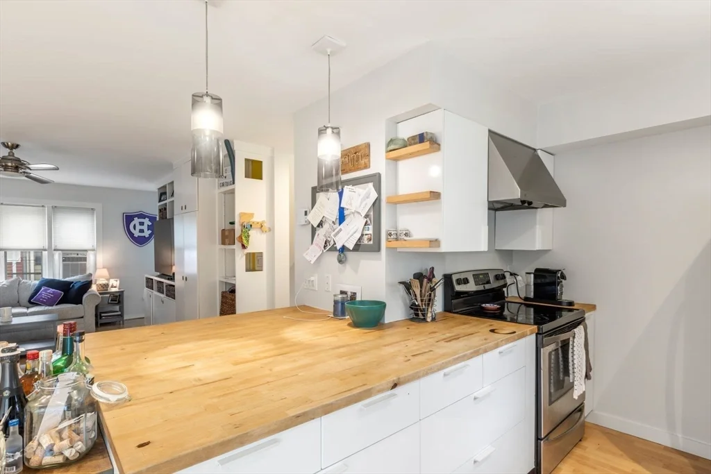 63 Bolton St, South Boston