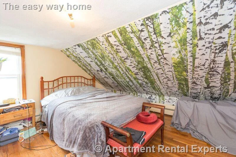 585 Somerville Ave, Porter Square