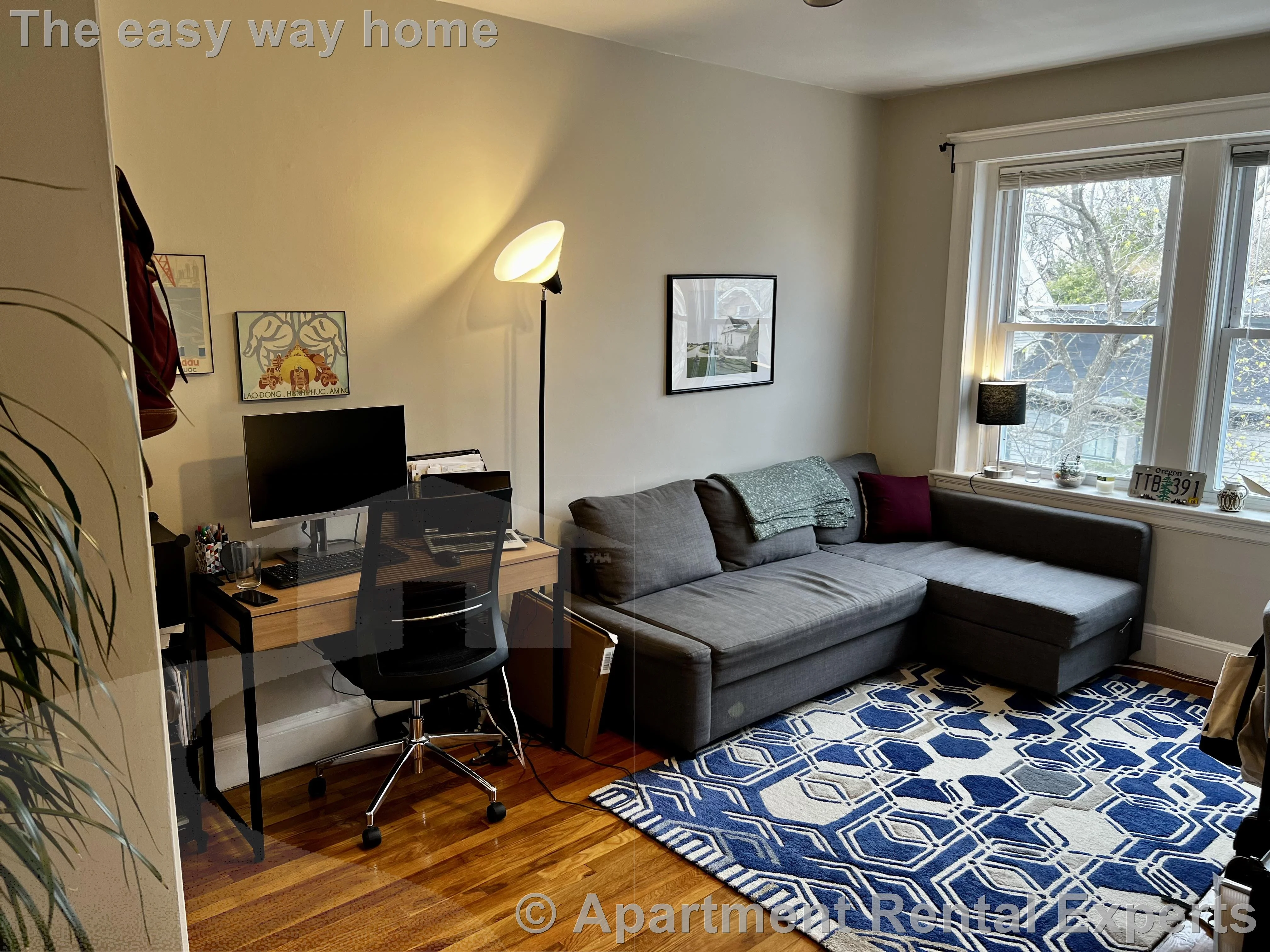 11 Gray St, Porter Square