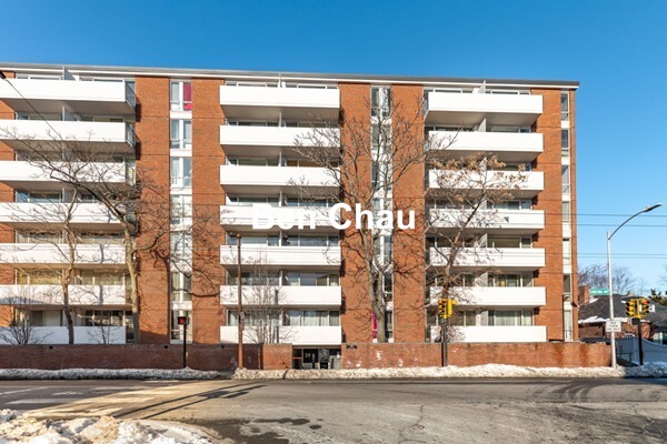 29 Concord Ave, Neighborhood Nine