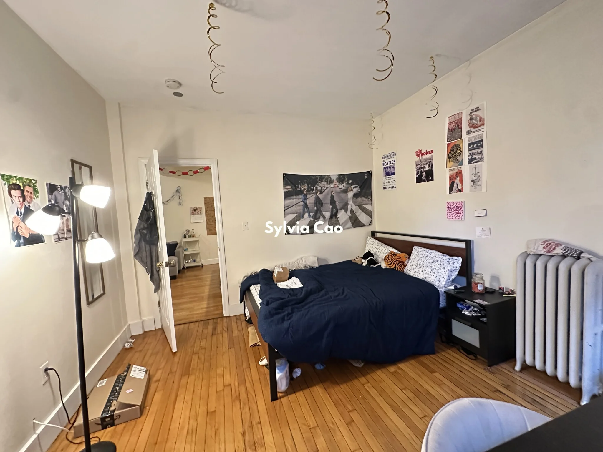 62 Egmont St, North Brookline