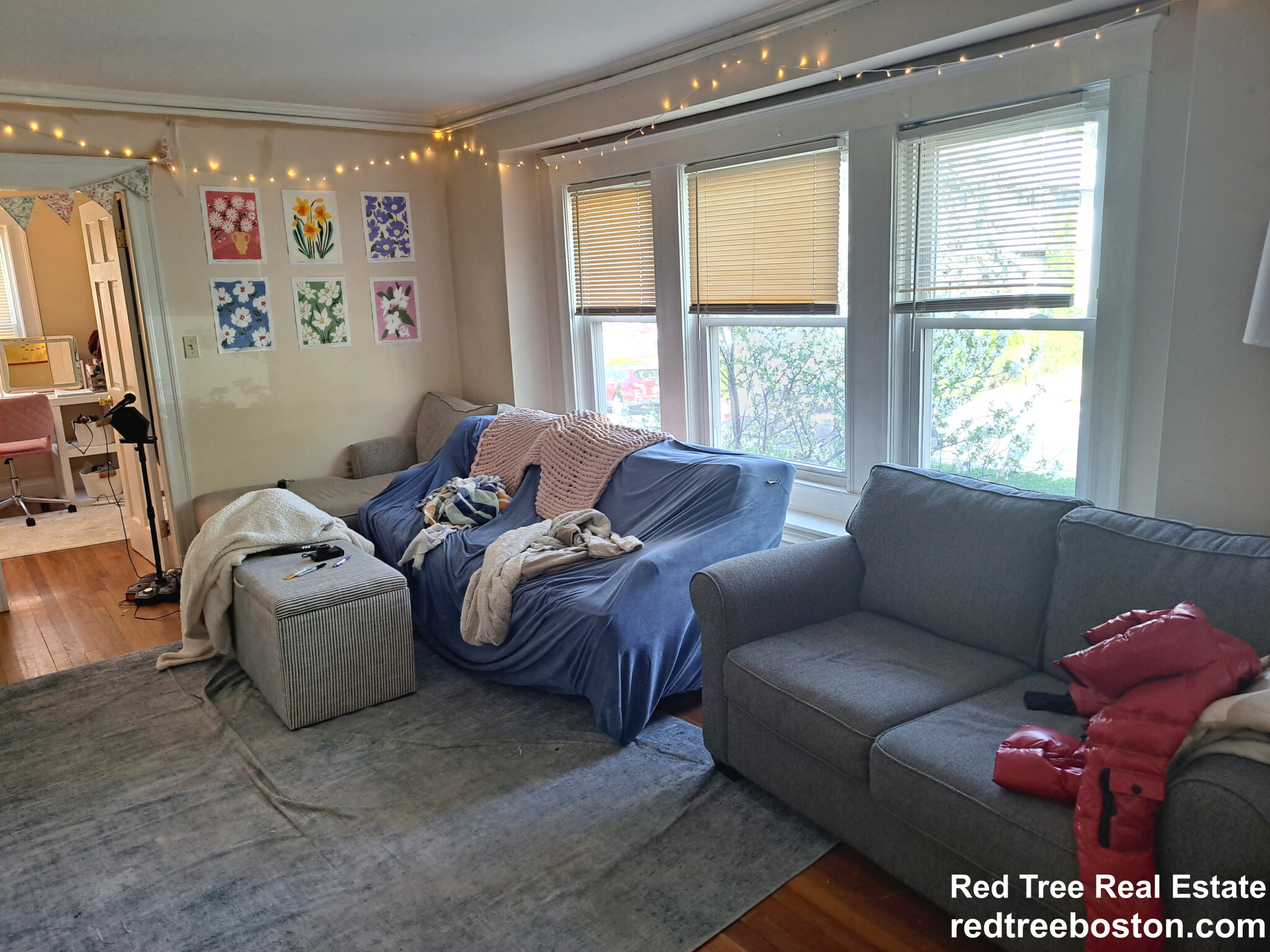 289 Foster St, Brighton