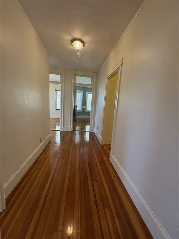 62 Ibbetson St, Spring Hill