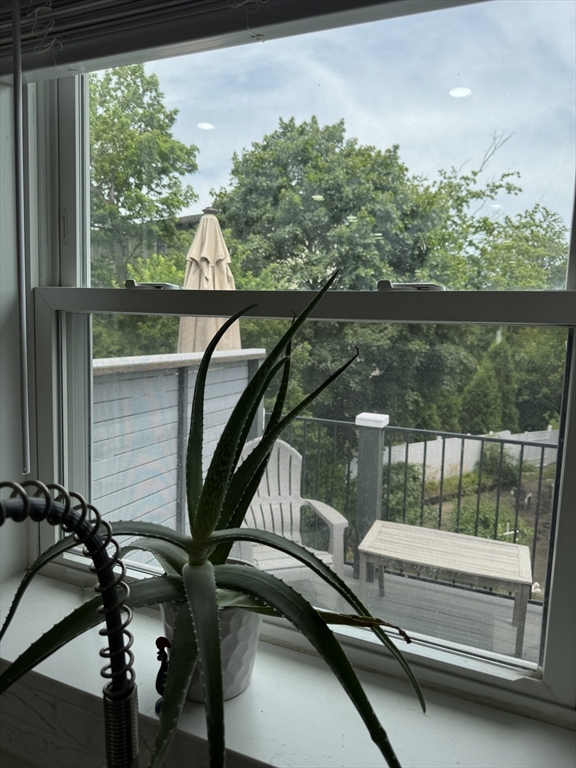 34 Park St, Newton Corner