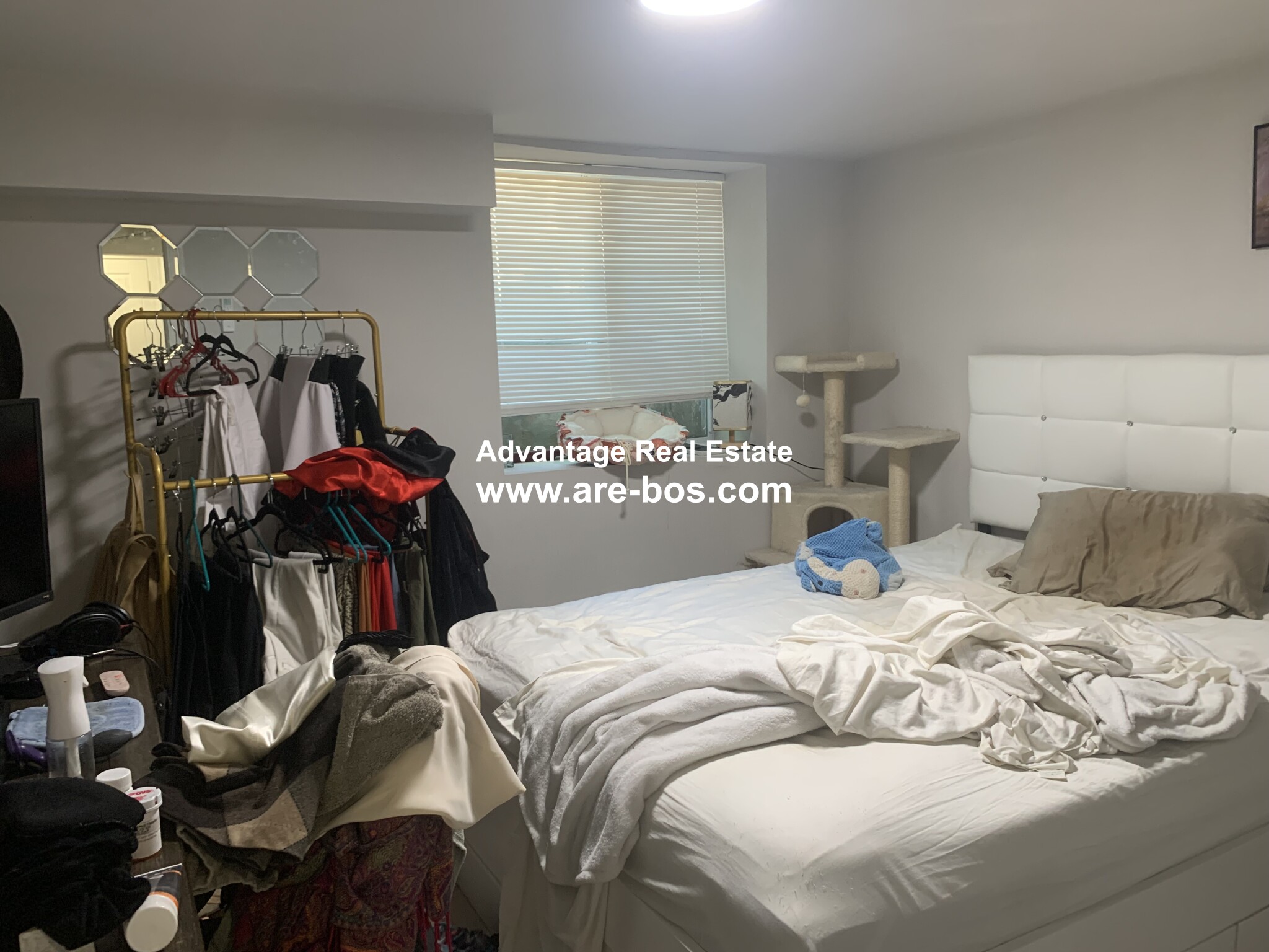 10 Harding St, Wellington-Harrington