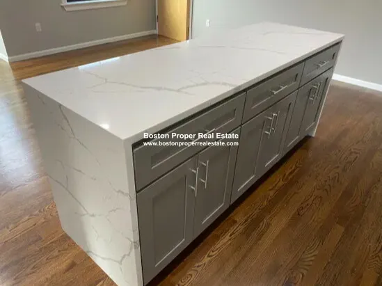 151 West Brookline St, Shawmut