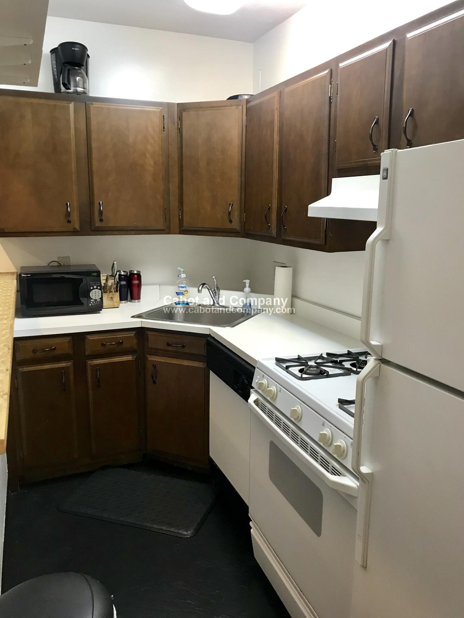 8 Follen St, Back Bay