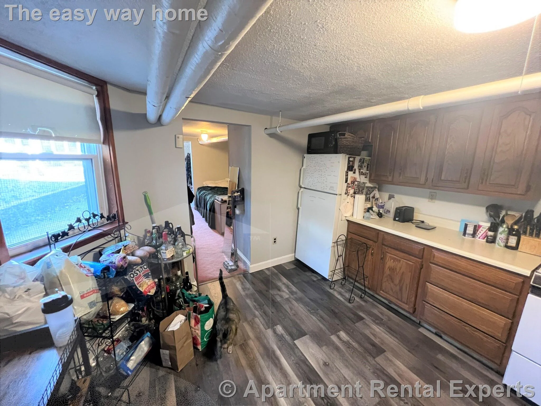 29 Cameron Ave, Davis Square