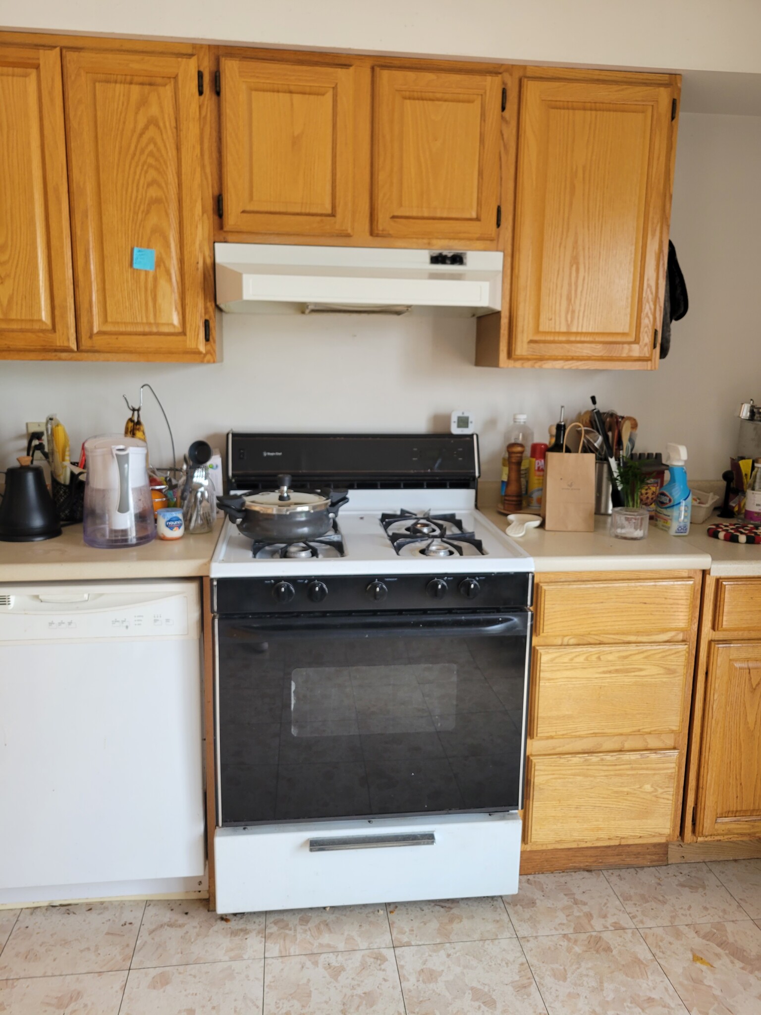 10 Morgan Pl, Nonantum