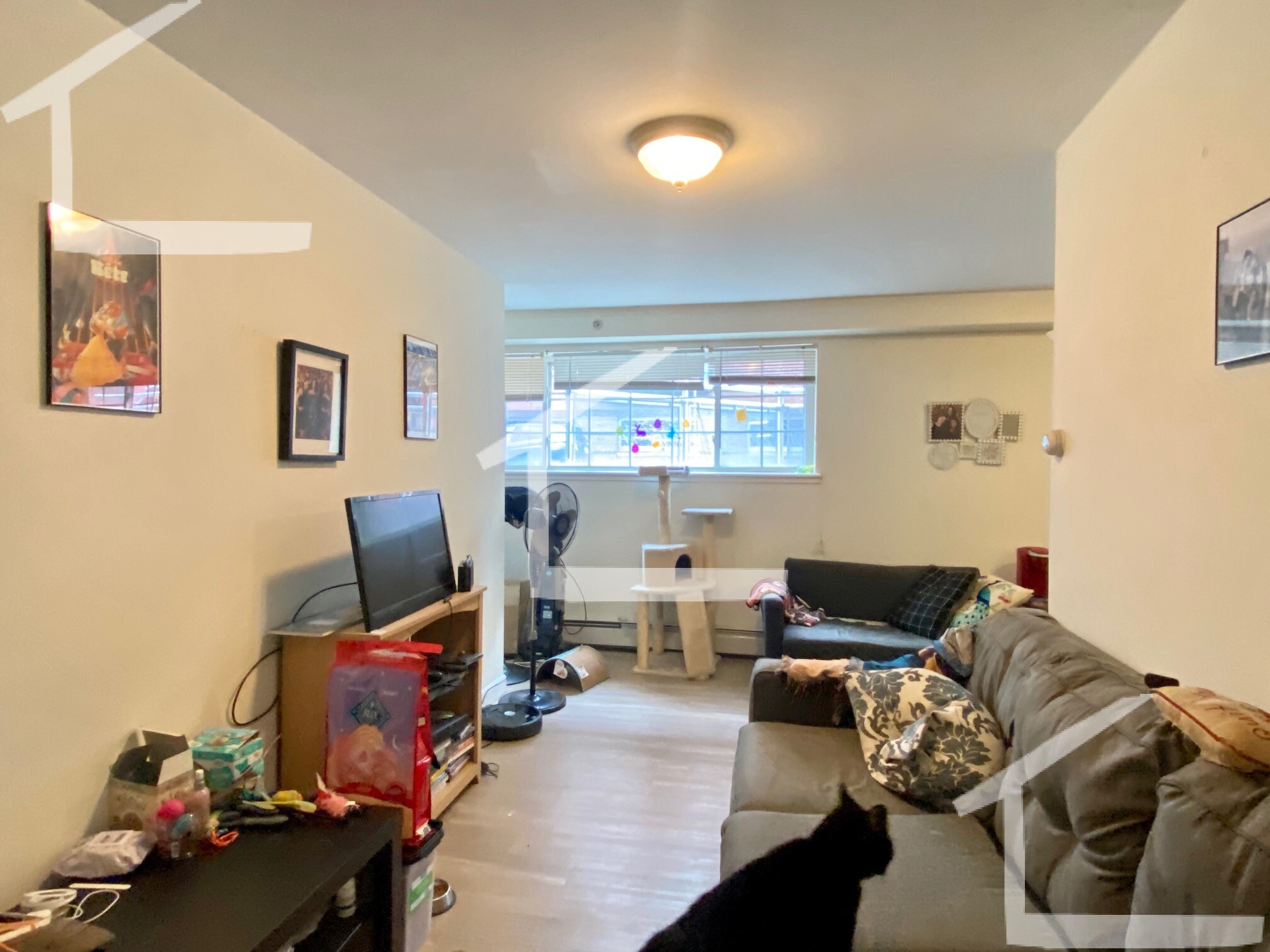 8 Griggs St, Brighton