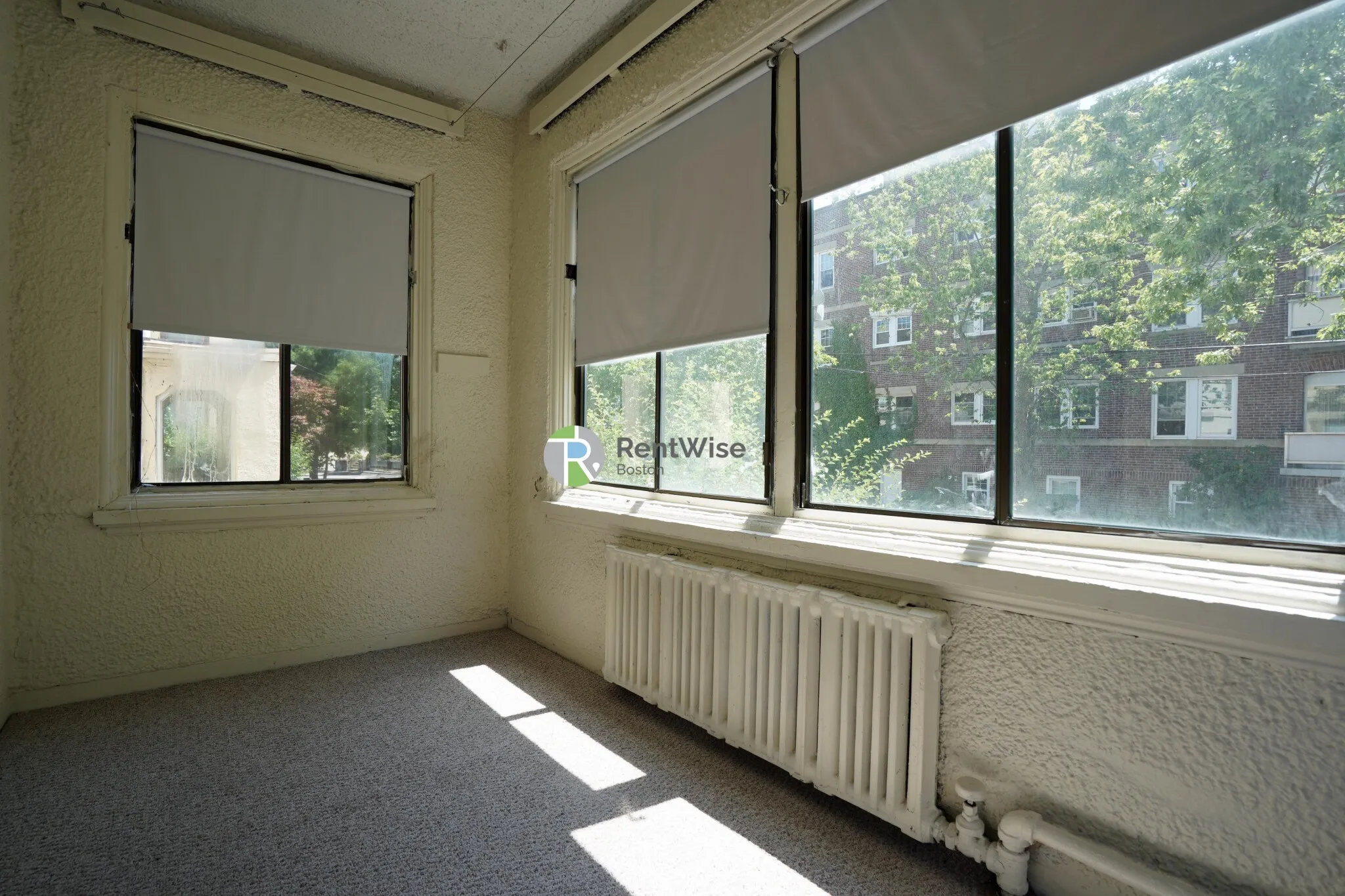 24 Hamilton Rd, North Brookline