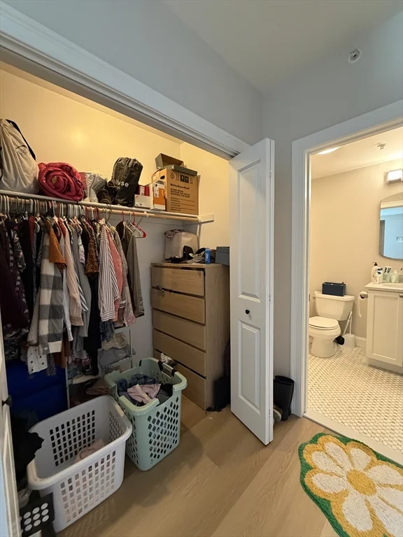 43 Pitman St, Spring Hill