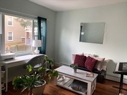 7 Timon Ave, Brookline