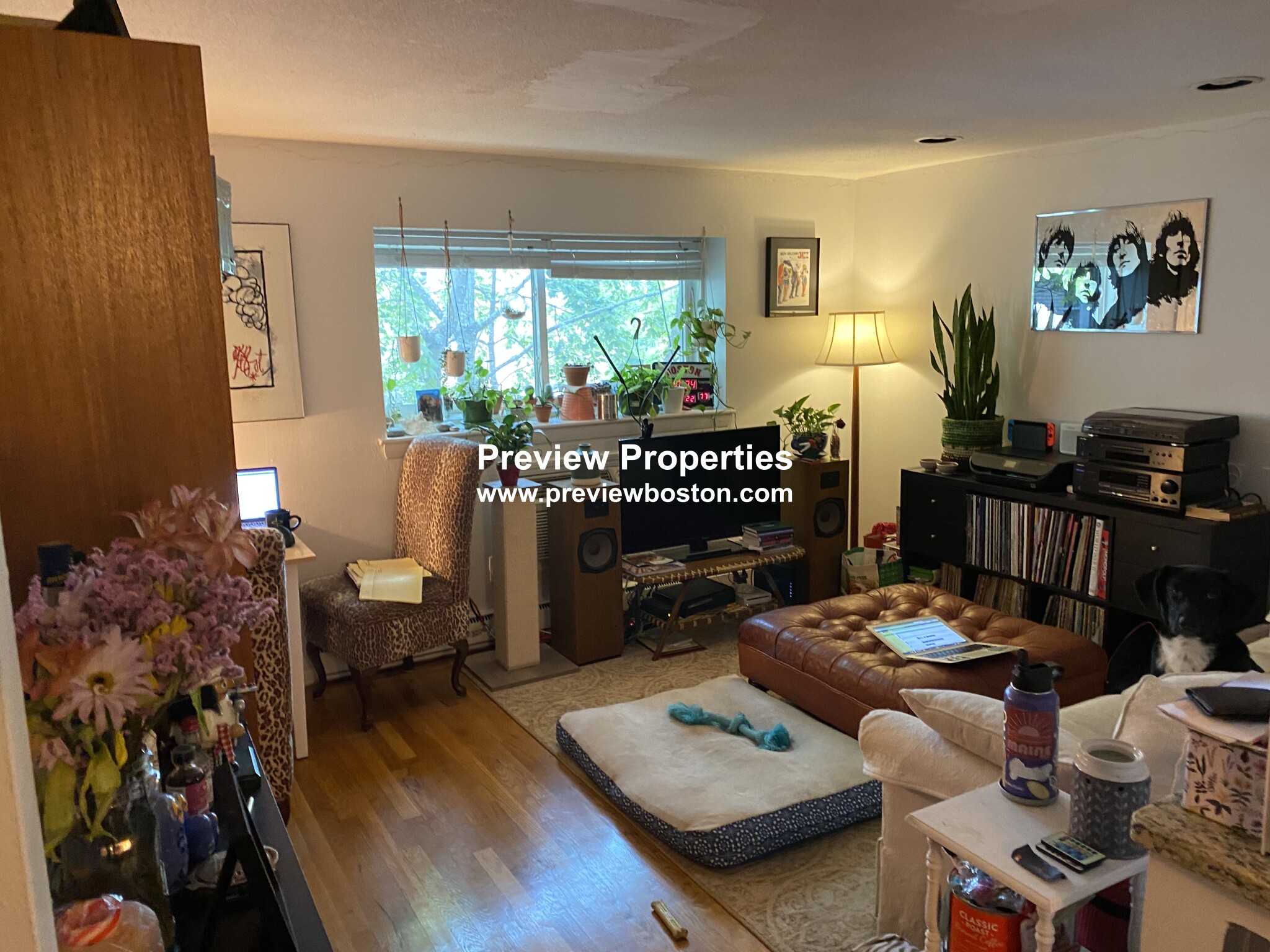 15 Euston Rd, Brighton