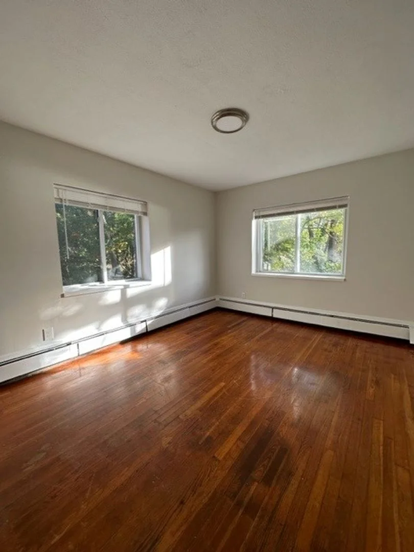 731 River St, Hyde Park