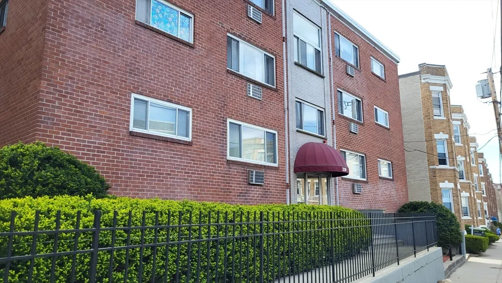 239 Kelton St, Brighton