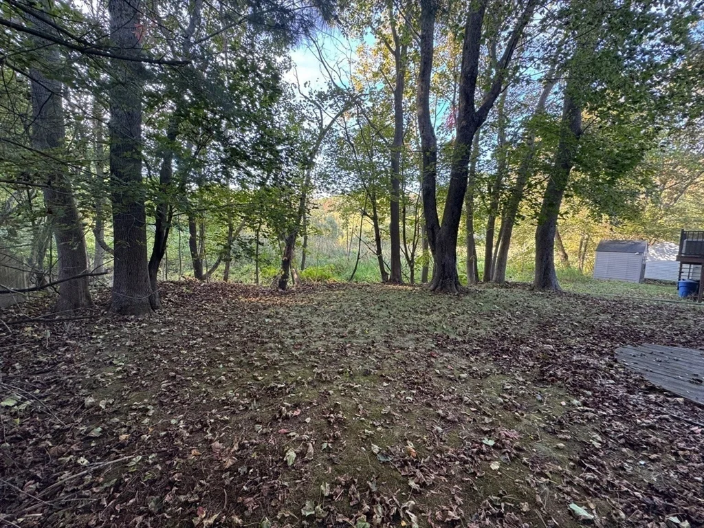 18 Reed St, Turkey Hill