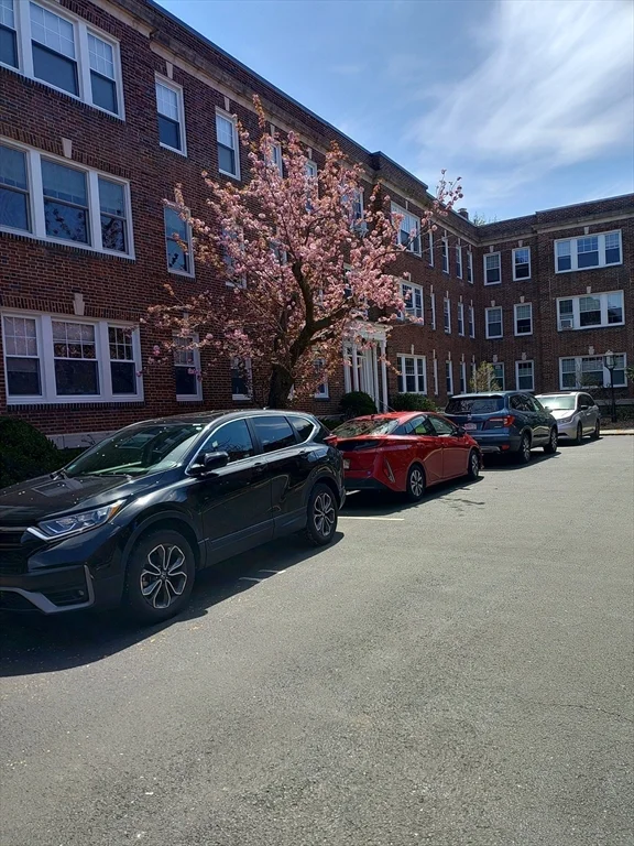 22 Alton, Coolidge Corner