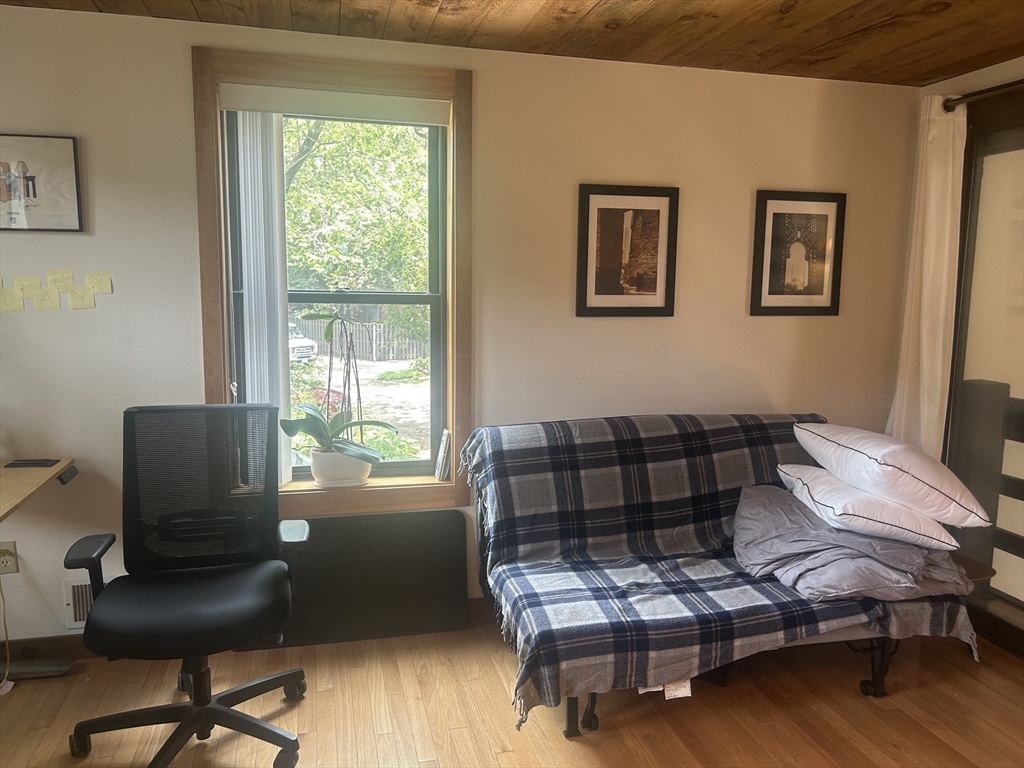 11 Lilac, Wellington-Harrington