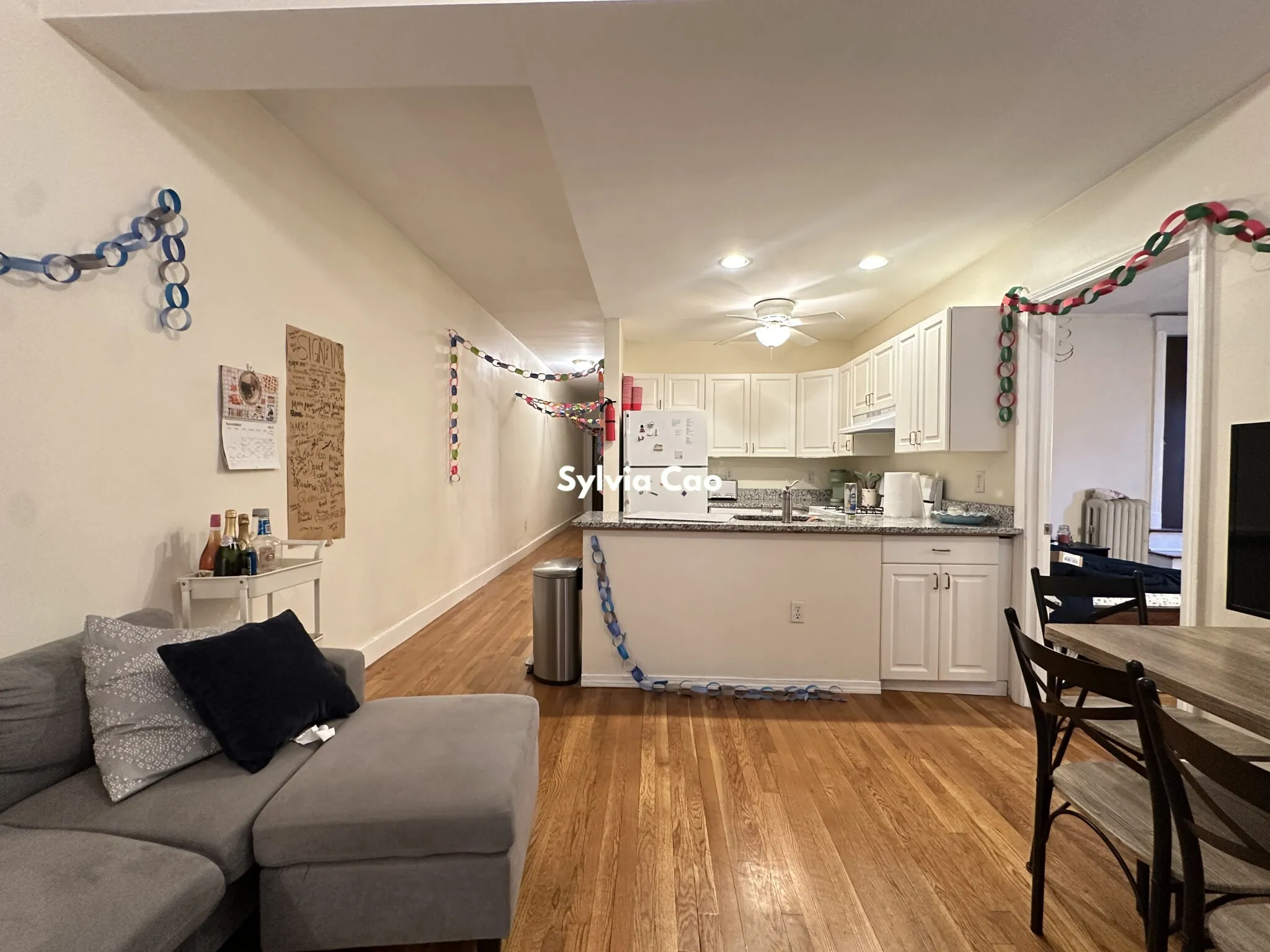 62 Egmont St, North Brookline