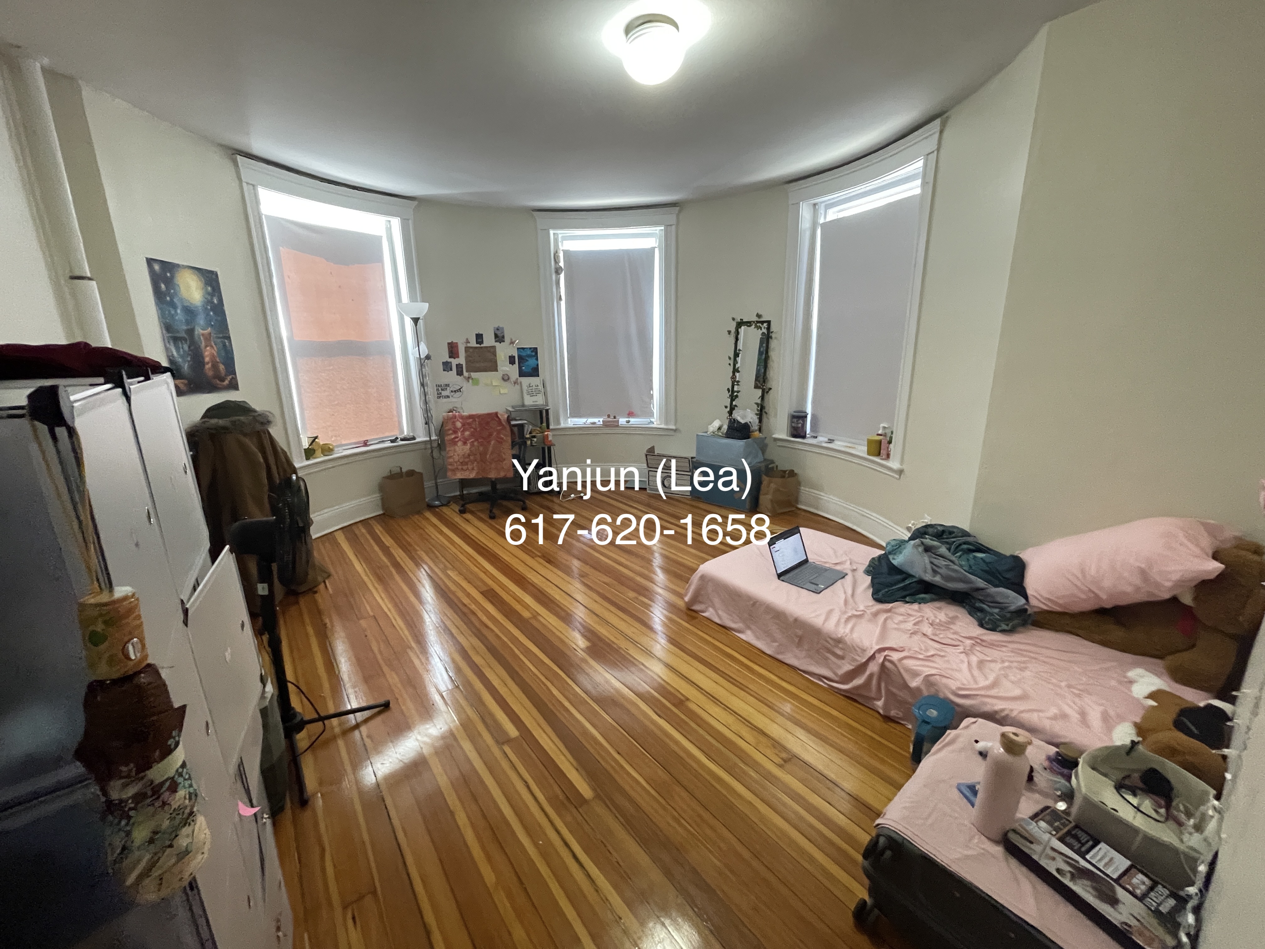 19 Mount Hood Rd, Brighton