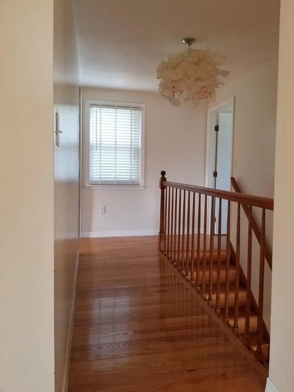 23 Clyde Ter, Arlington