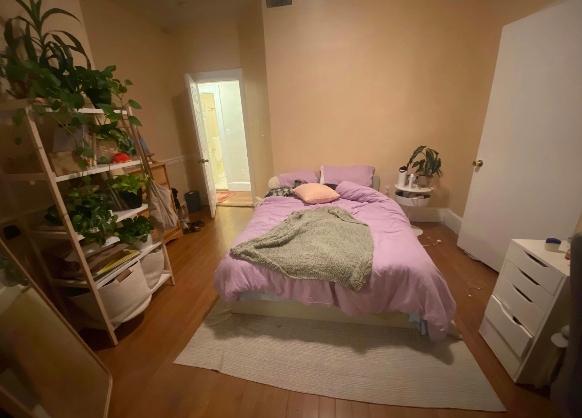 21 Bucknam St, Mission Hill