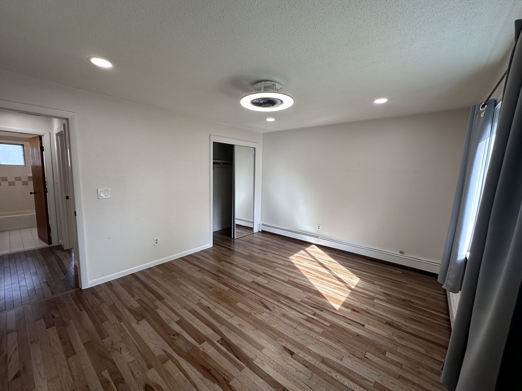 41 Will, Canton Junction