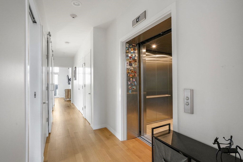 7 E Springfield, South End