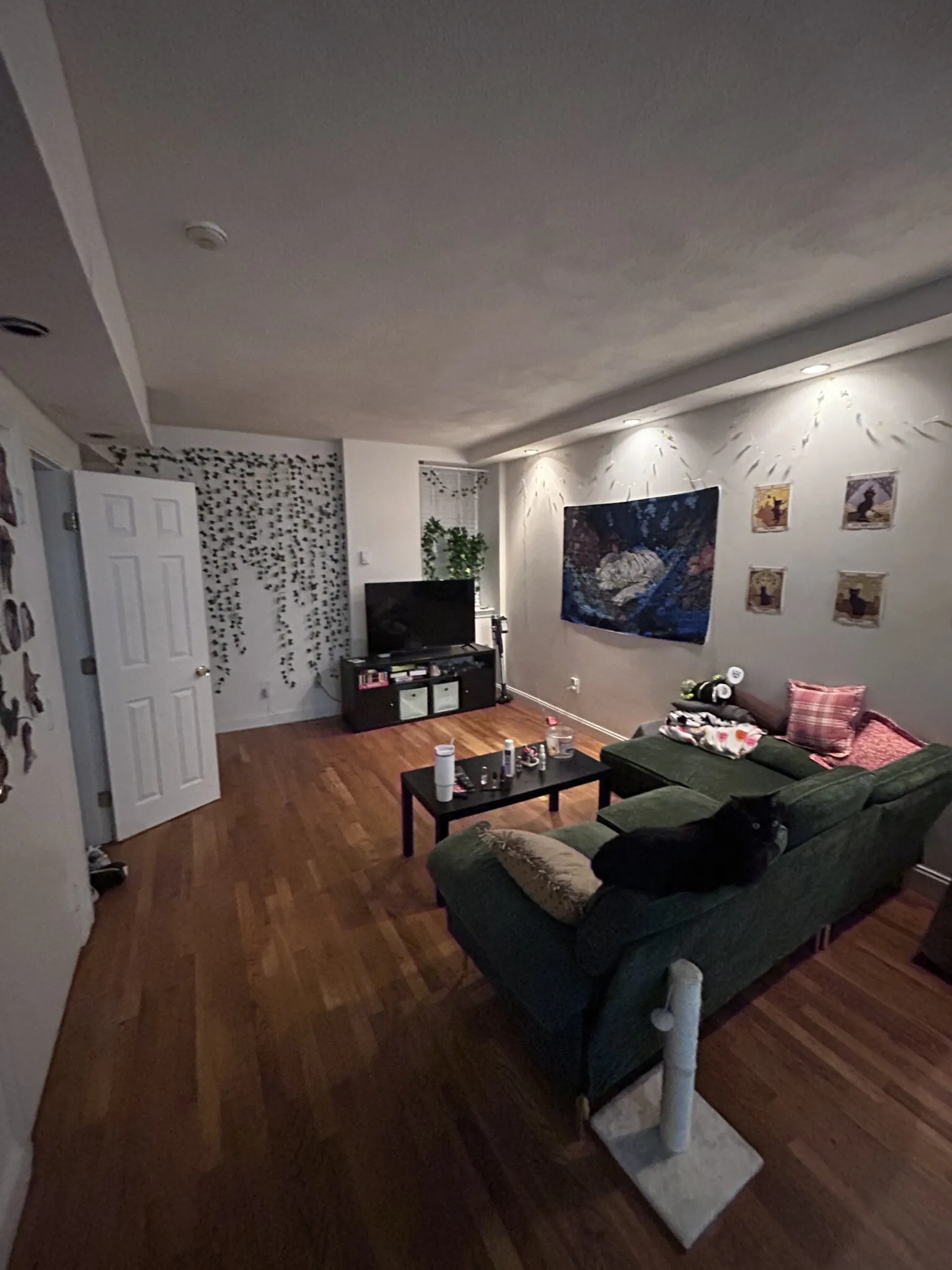 57 Westland Ave, Fenway