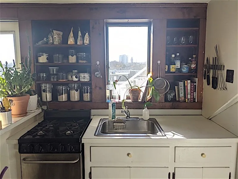 58 Atherton St, Spring Hill