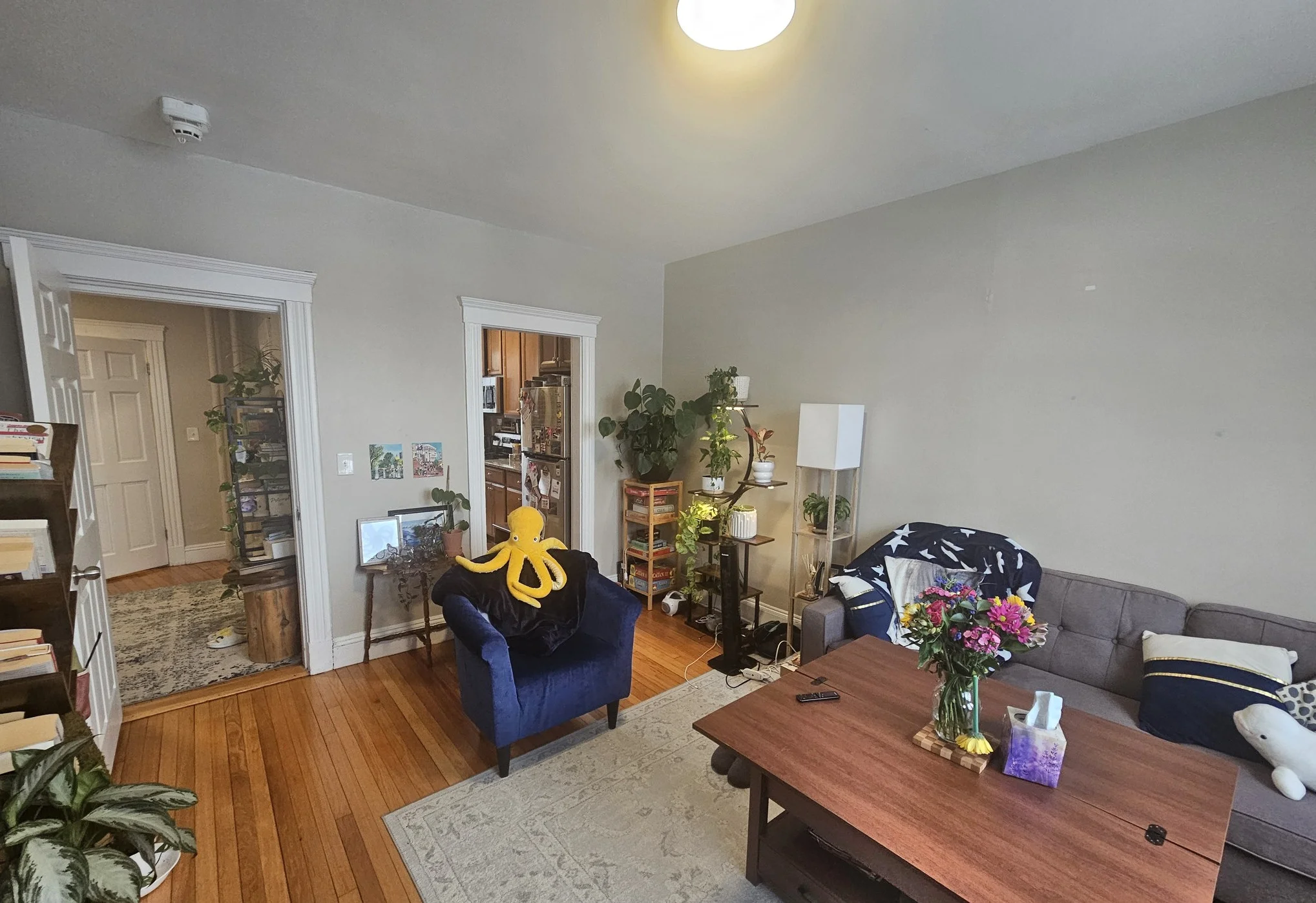 370 Chestnut Hill Ave, Brighton