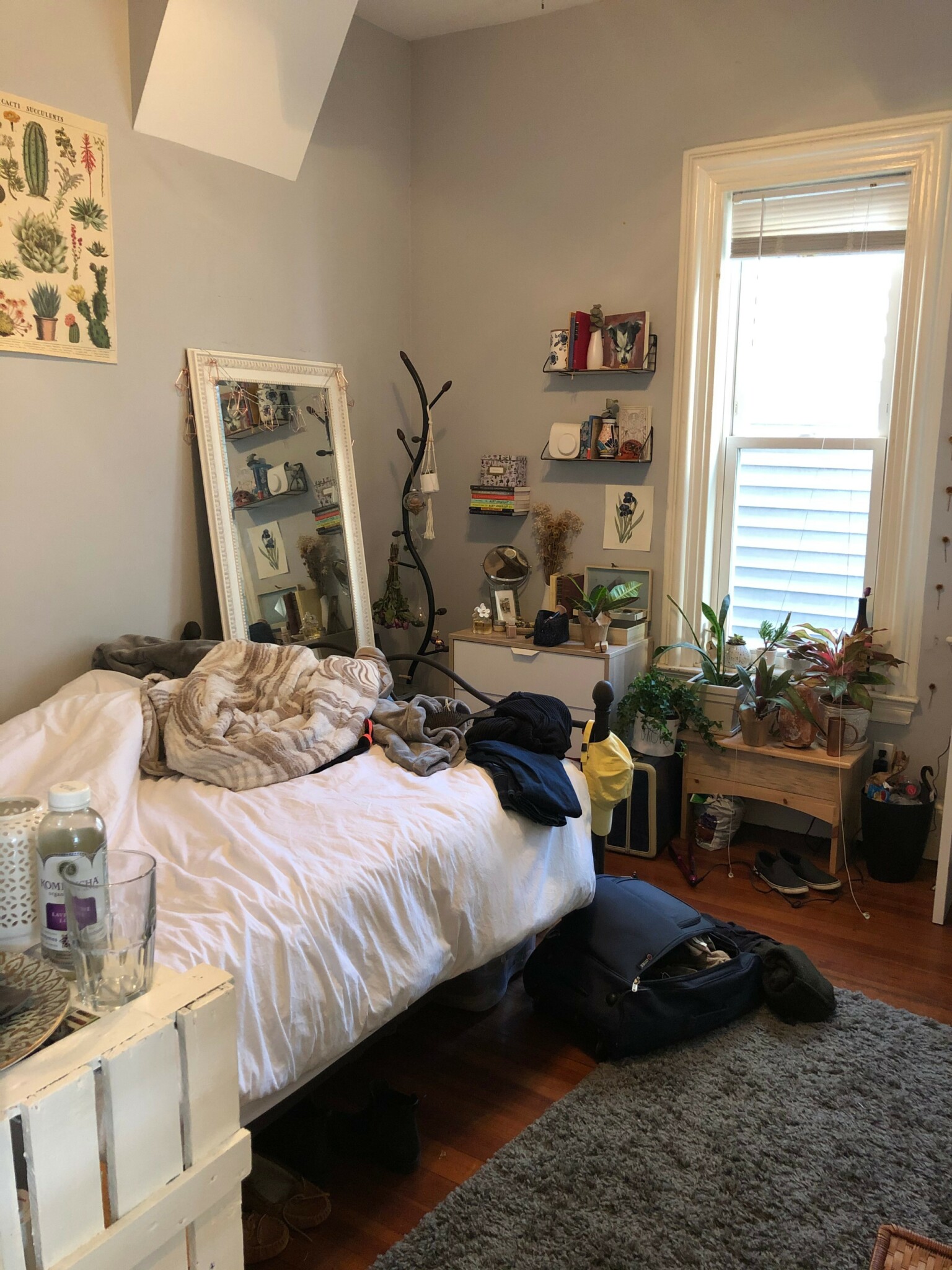 135 Hillside St, Mission Hill