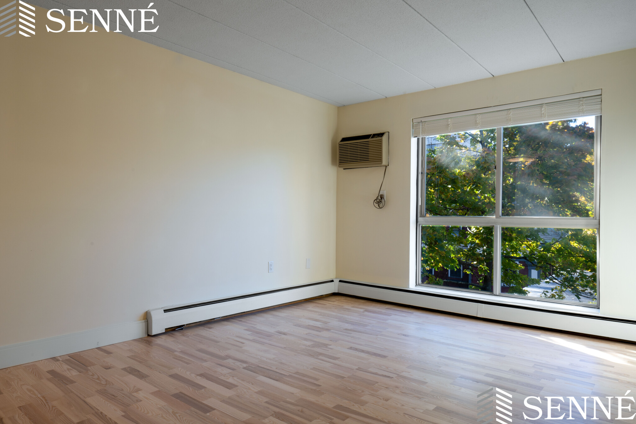 16 Trowbridge St, Mid-Cambridge