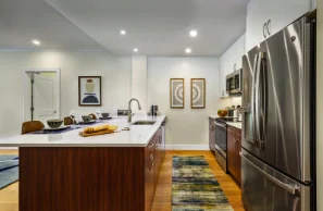 101 Asheville Rd, Chestnut Hill