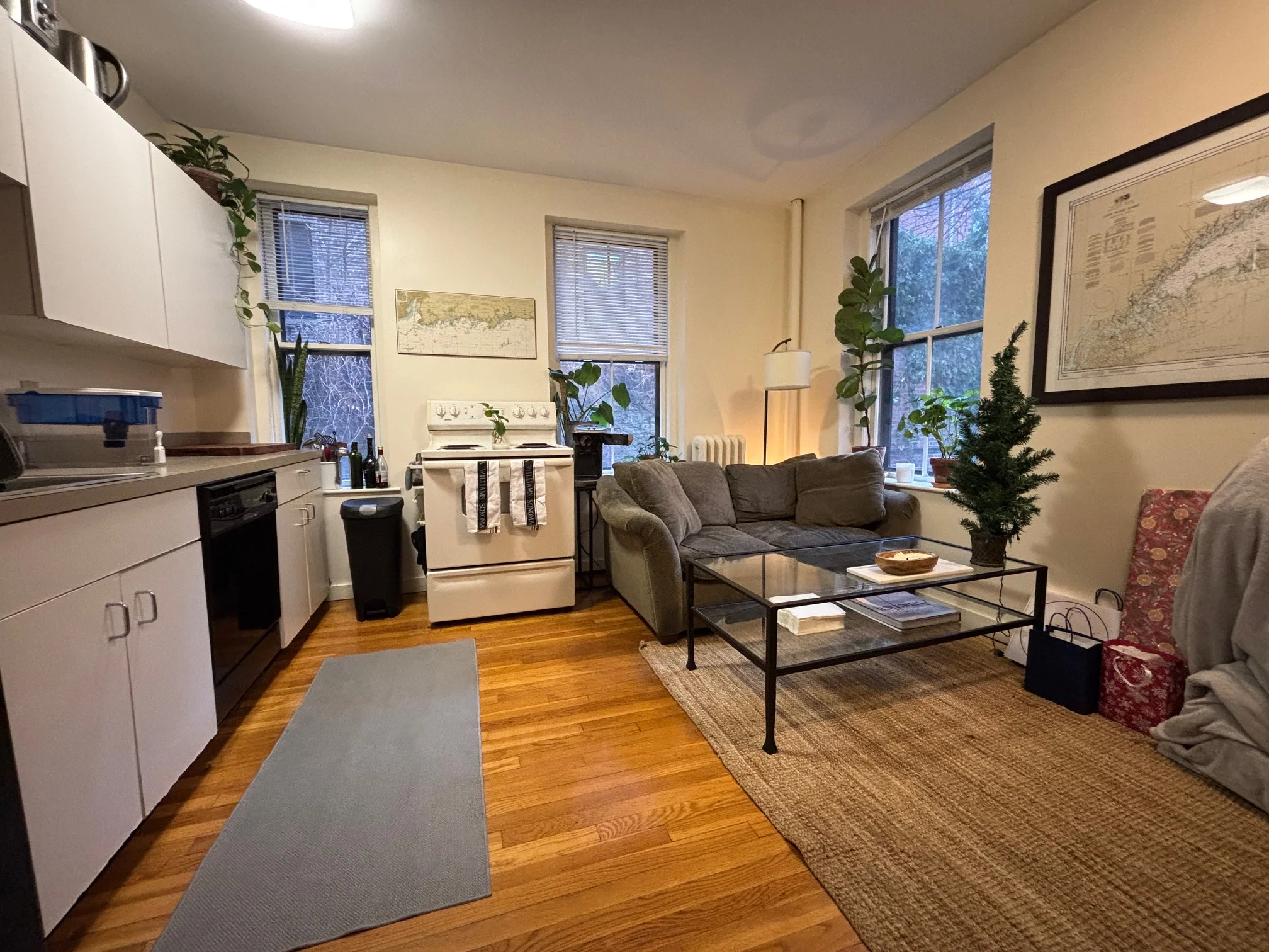 68 Myrtle St, Beacon Hill