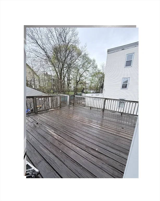 14 Mount Everett St, Dorchester