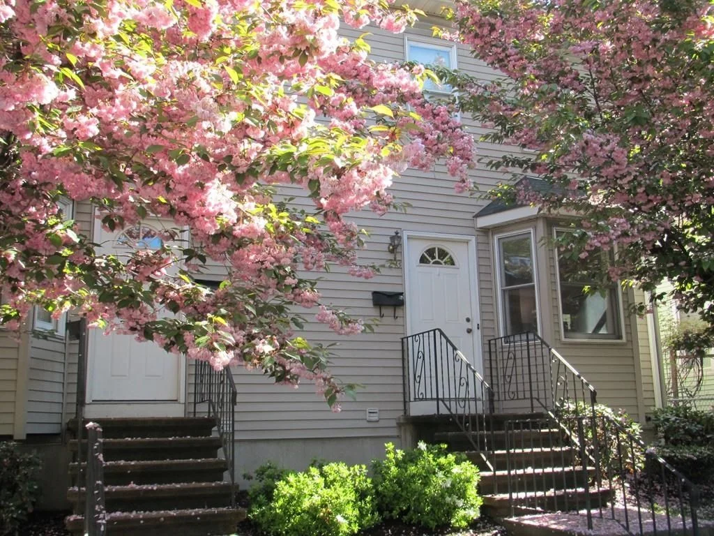 299 River St, Waltham