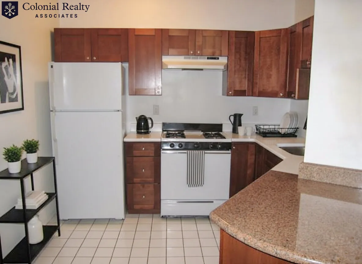 66 Egmont St, North Brookline