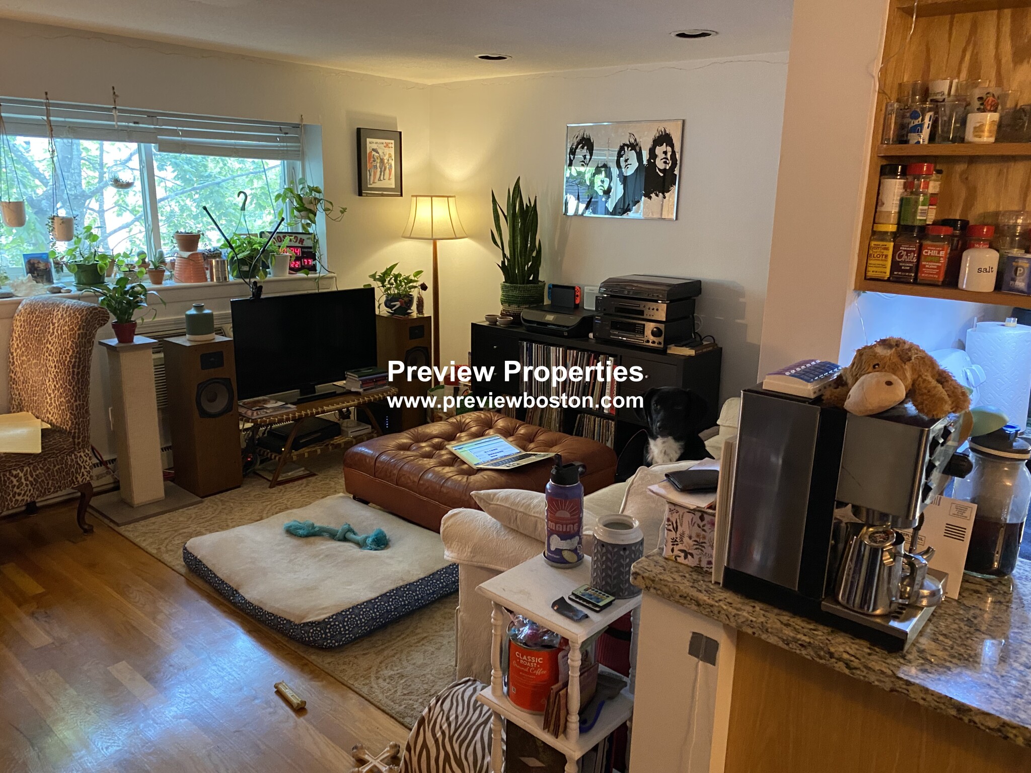 15 Euston Rd, Brighton