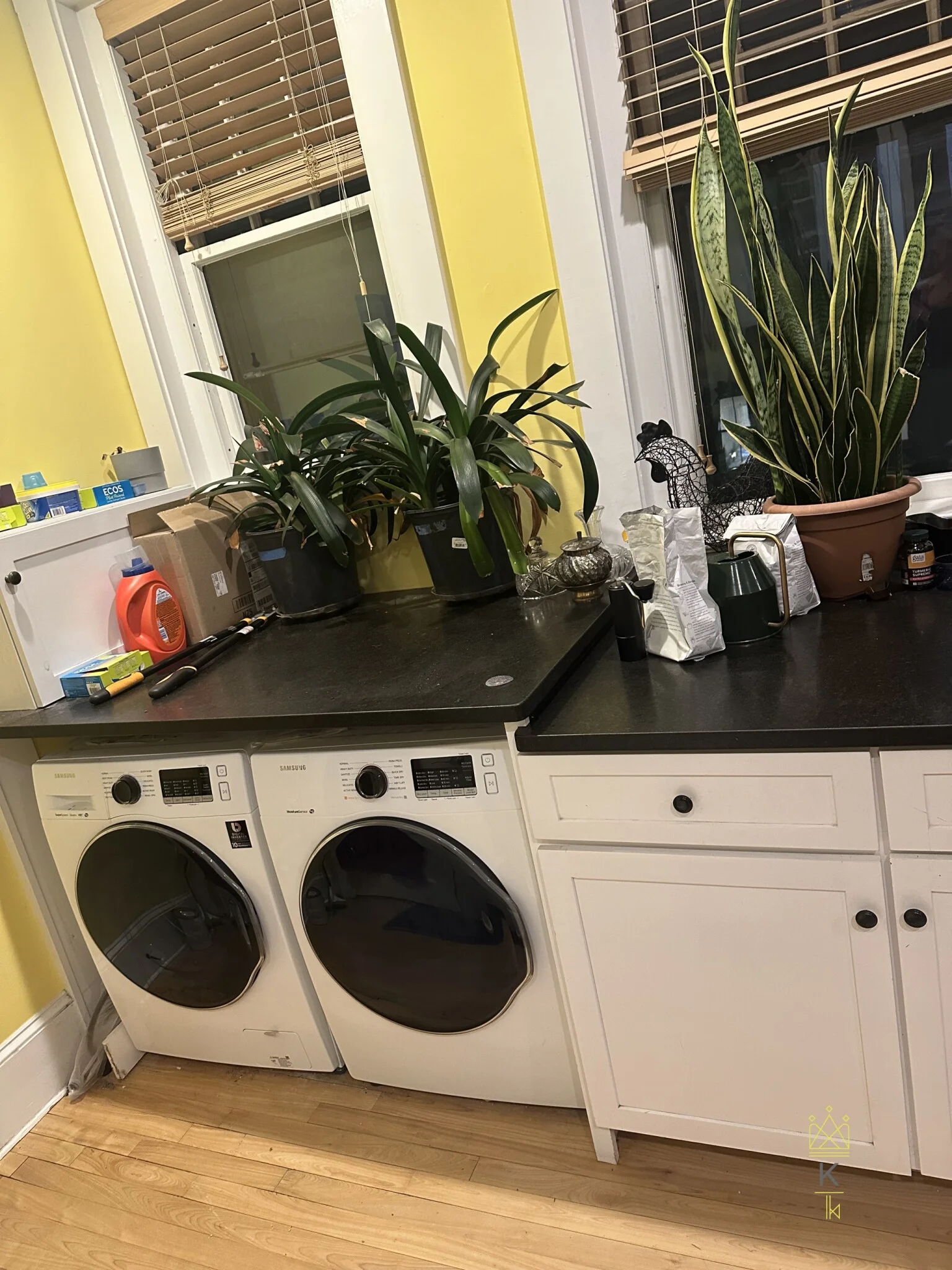 336 Washington St, Emerson Gardens