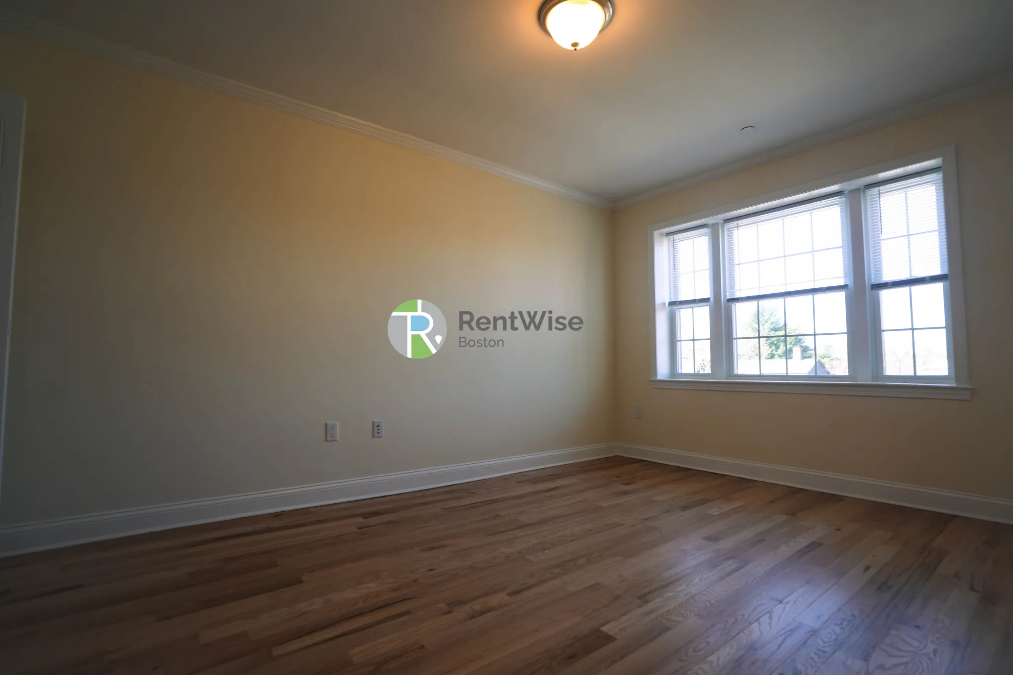 55 Langdon St, Neighborhood Nine