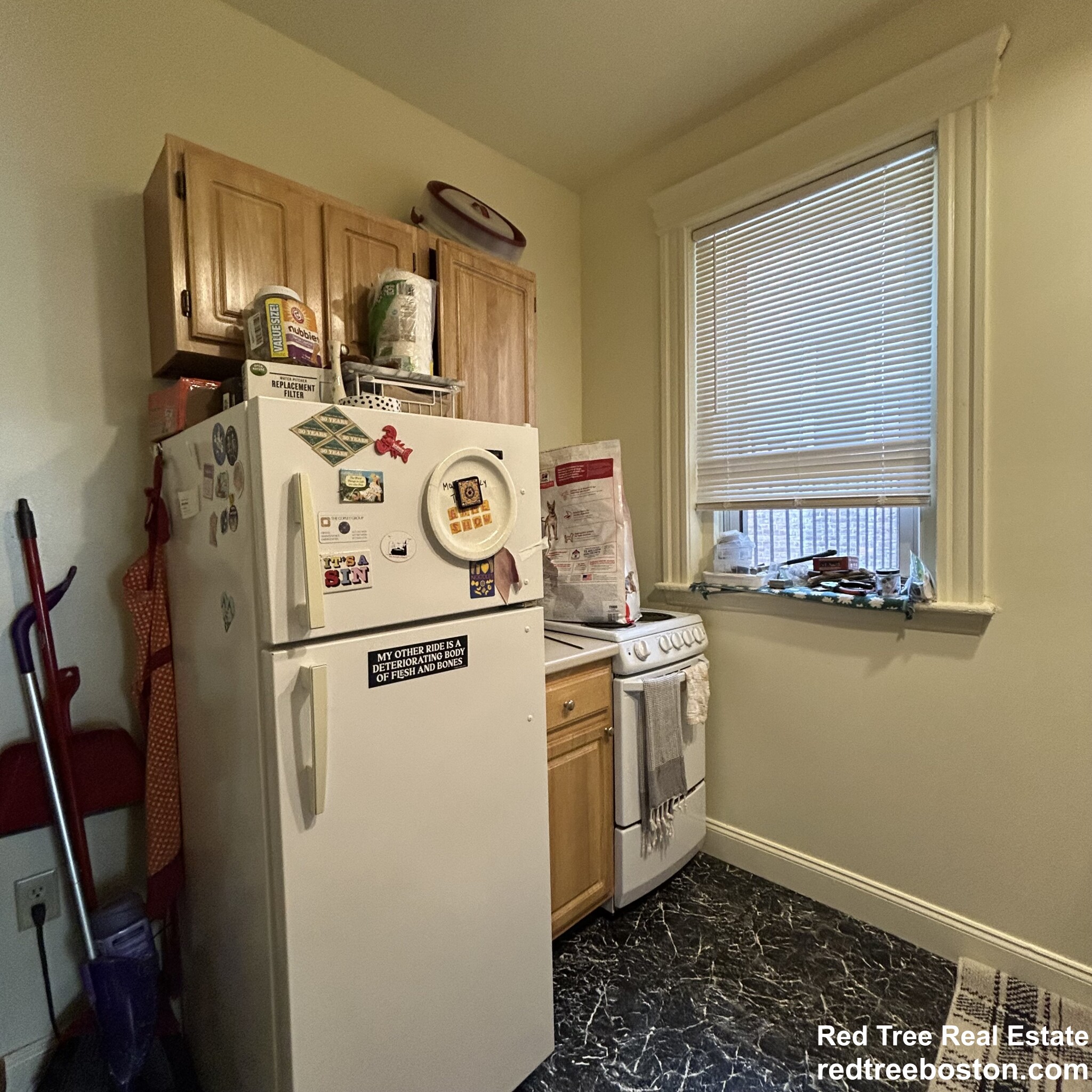 124 Peterborough St, Fenway