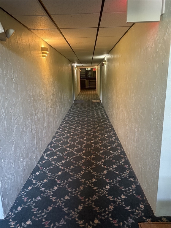 707 Bedford St, Abington