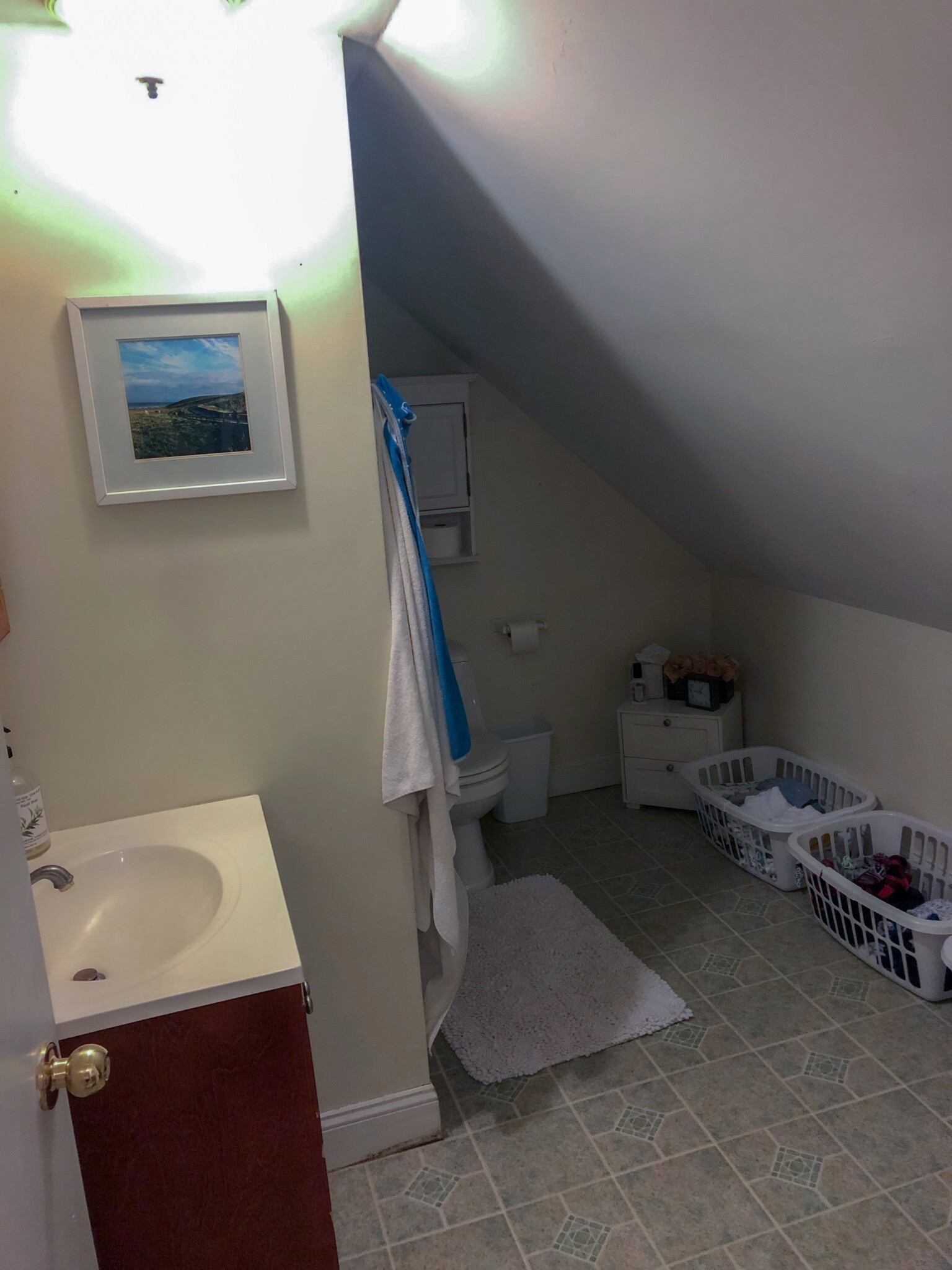 8 Alberta Ter, North Cambridge