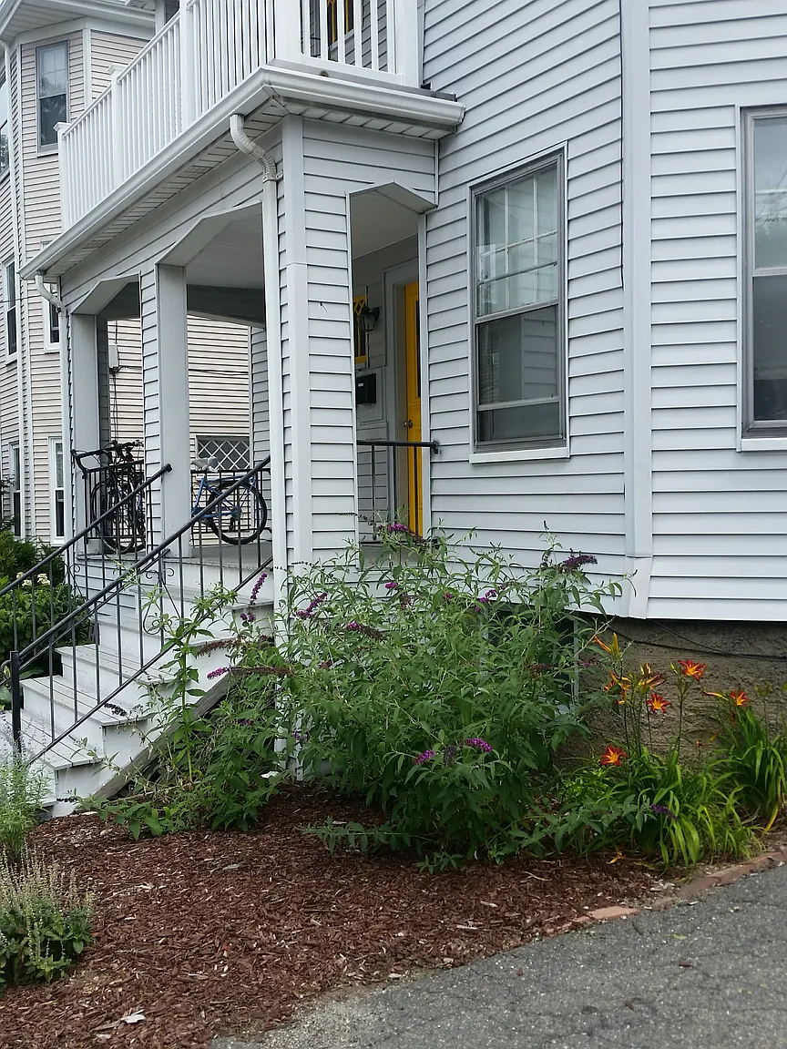 19 Edward Sullivan Rd, Strawberry Hill