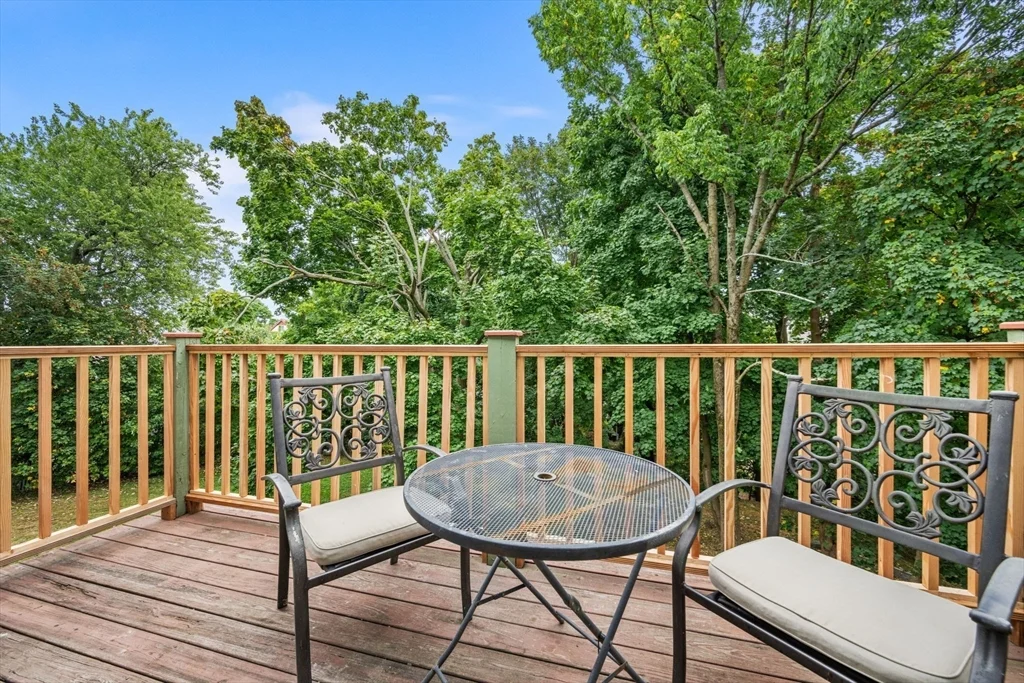 49 Cedar St, Roxbury