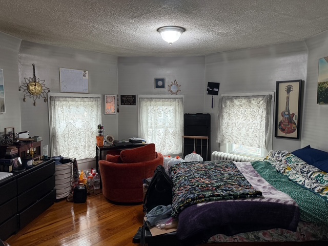 53 Elm St, Spring Hill