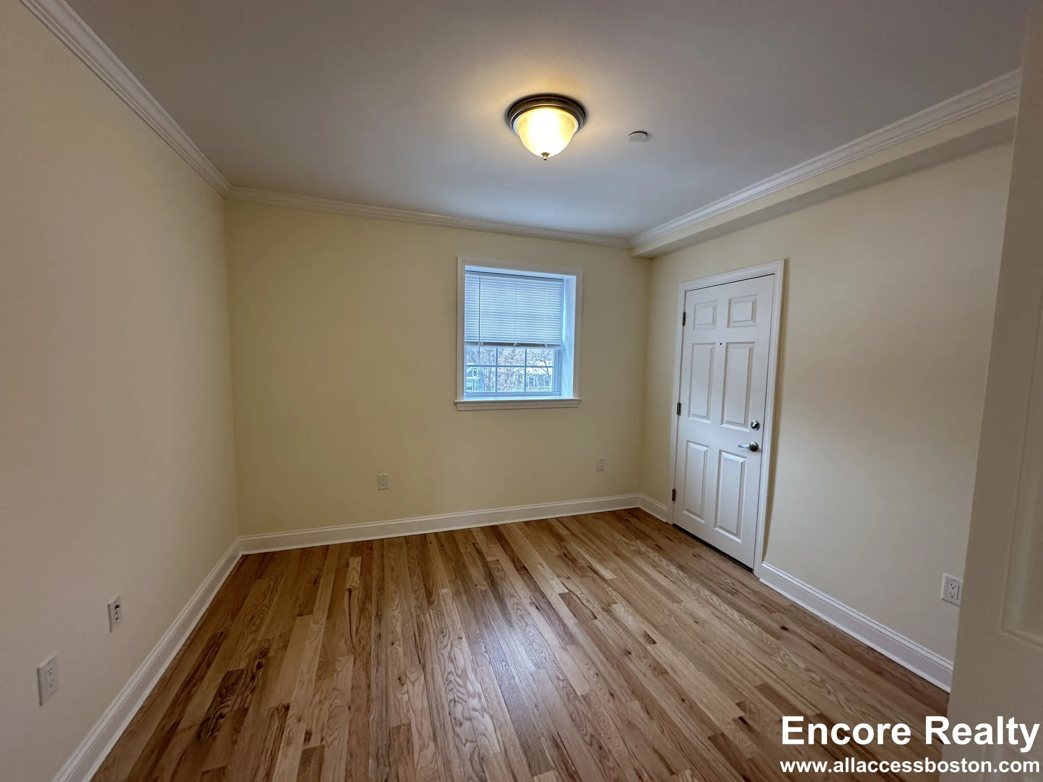 56 Langdon St, Neighborhood Nine