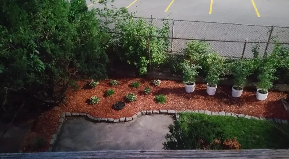 60 Homer Ave, West Cambridge